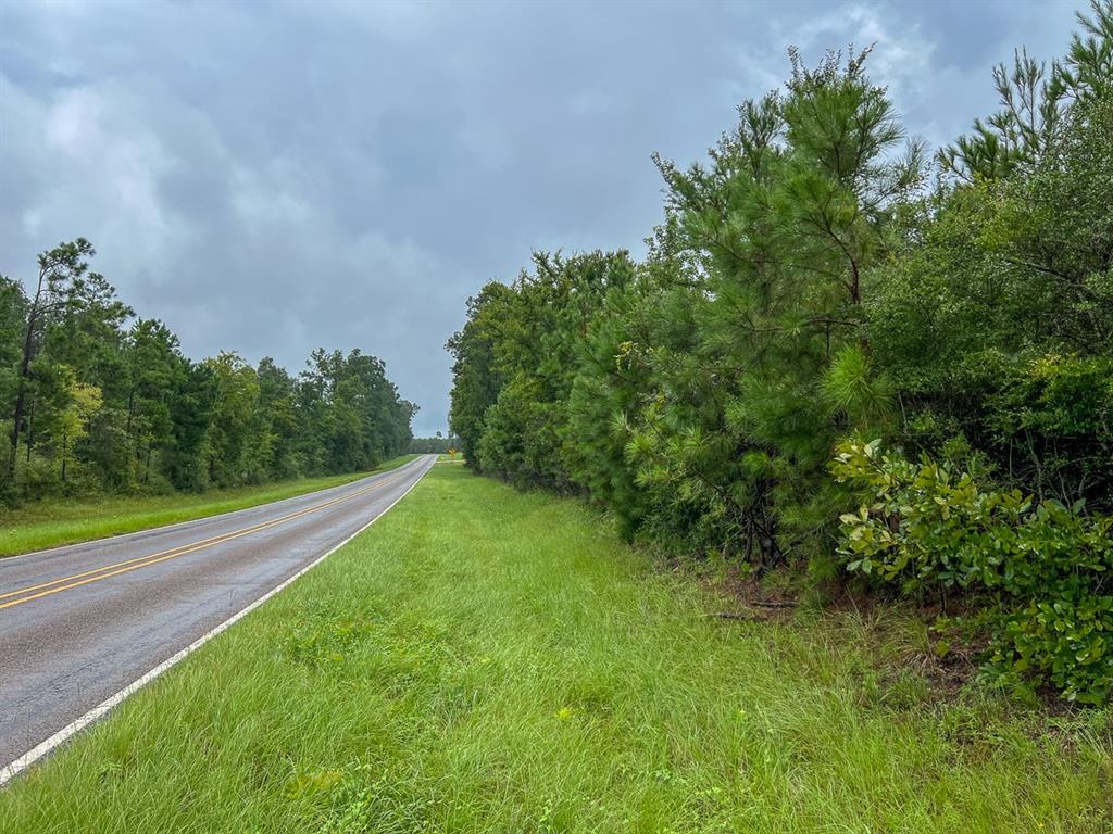 T48 Easement Road Off Fm 355, Groveton, Texas image 13