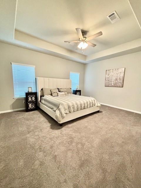 252 Freeman Boulevard, West Columbia, Texas image 6
