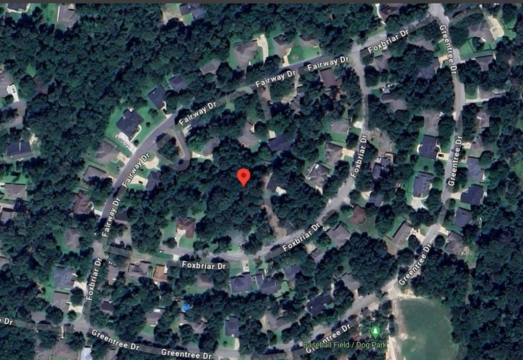 1924 Foxbriar Drive, Huntsville, Texas image 9