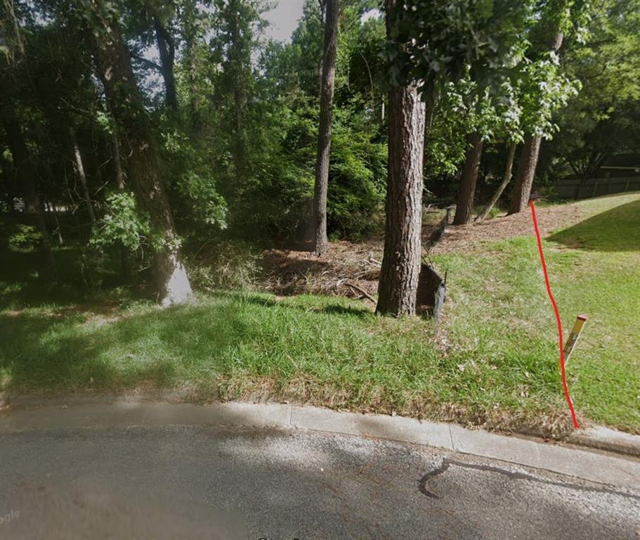 1924 Foxbriar Drive, Huntsville, Texas image 3