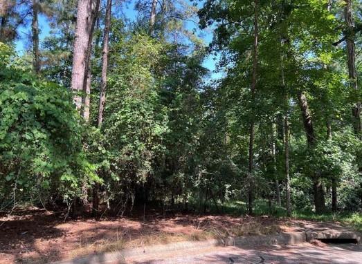 1924 Foxbriar Drive, Huntsville, Texas image 2