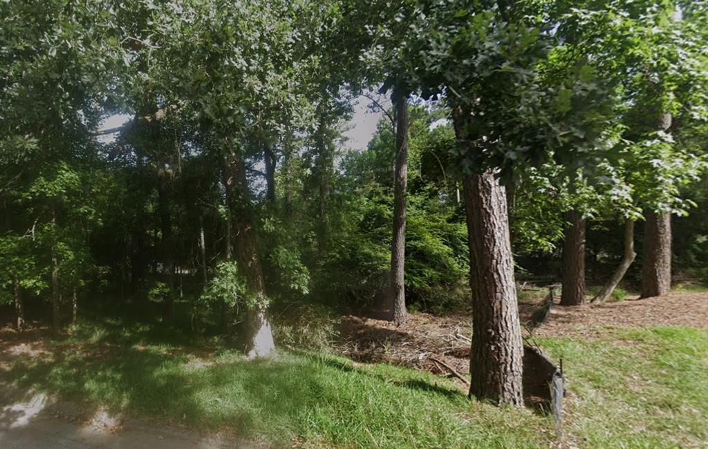 1924 Foxbriar Drive, Huntsville, Texas image 1