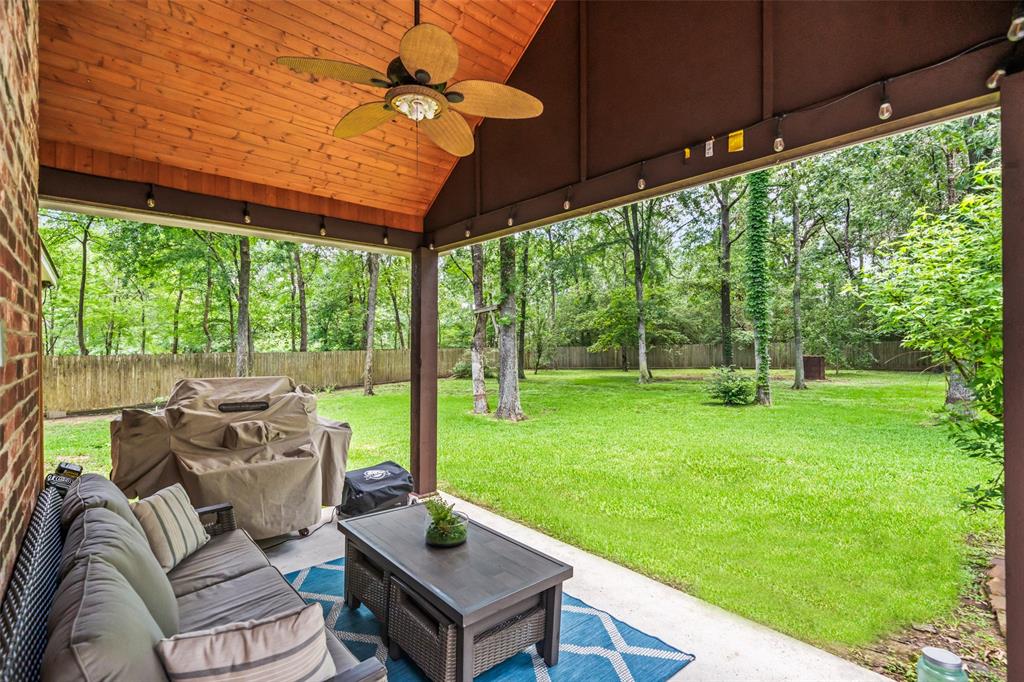 18854 Lake Terrace Drive, Montgomery, Texas image 3