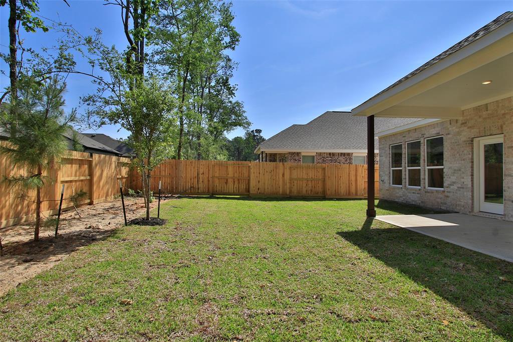 226 Brecon Buff Drive, Willis, Texas image 41