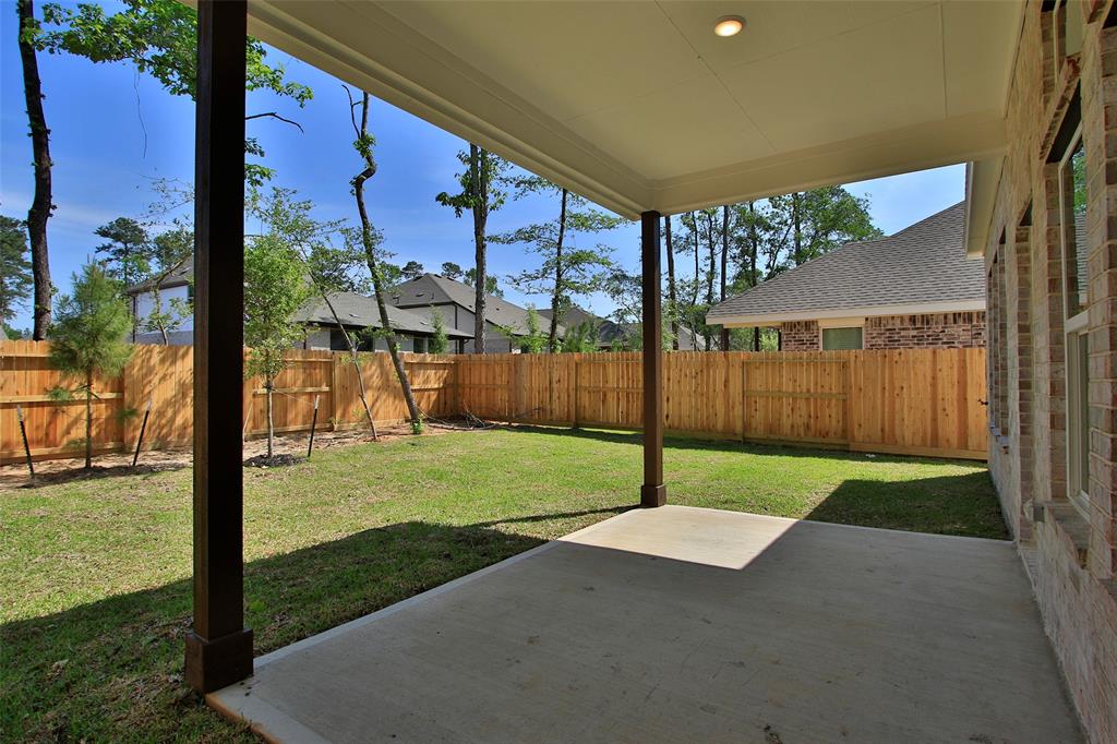 226 Brecon Buff Drive, Willis, Texas image 39