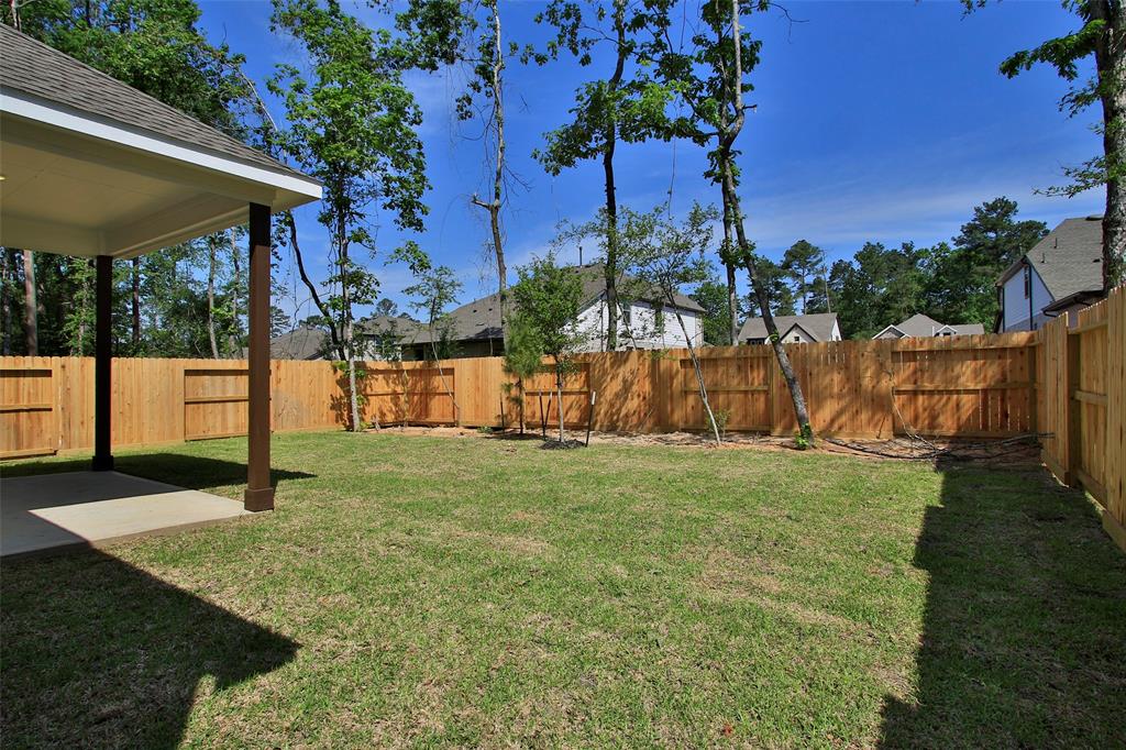 226 Brecon Buff Drive, Willis, Texas image 46