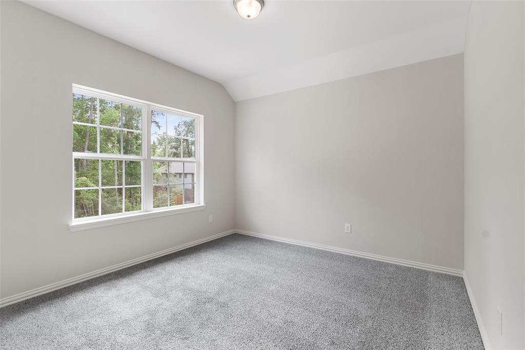 226 Brecon Buff Drive, Willis, Texas image 35