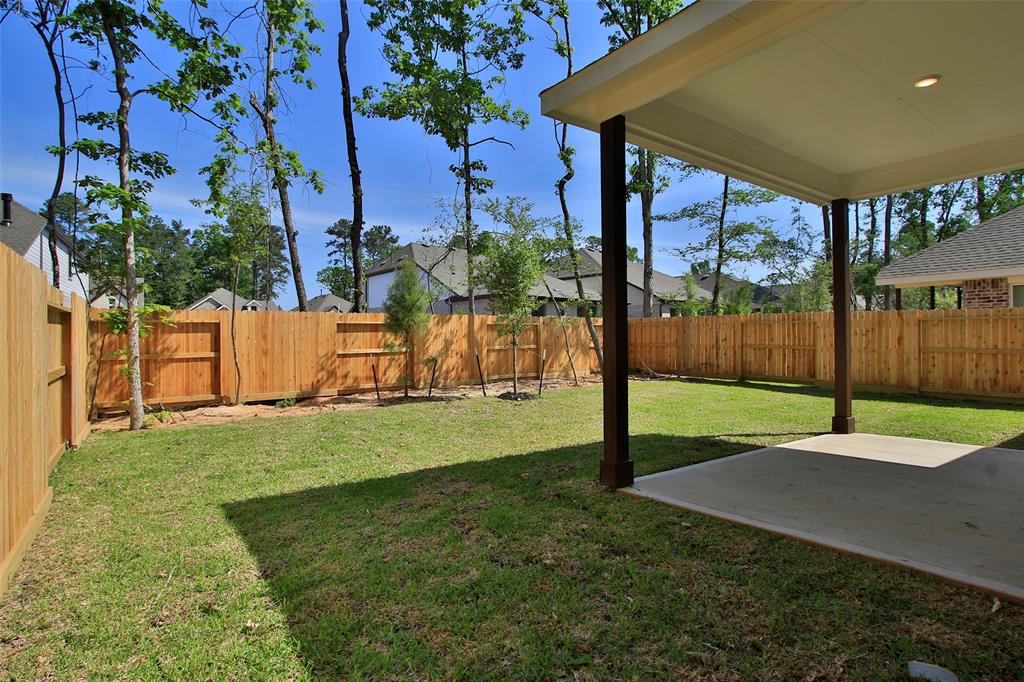 226 Brecon Buff Drive, Willis, Texas image 40