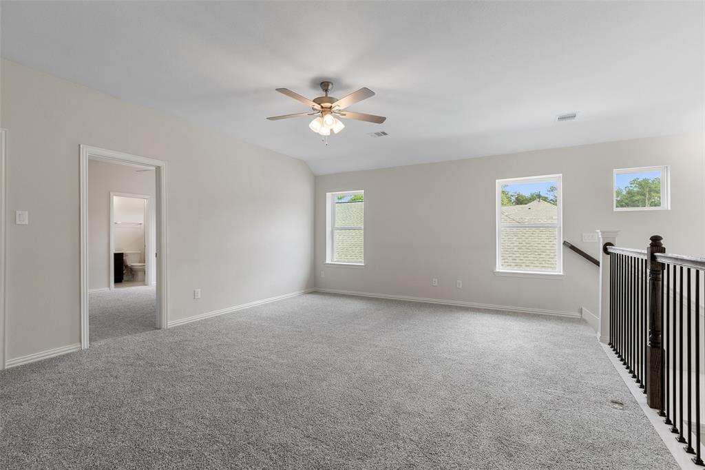 226 Brecon Buff Drive, Willis, Texas image 30