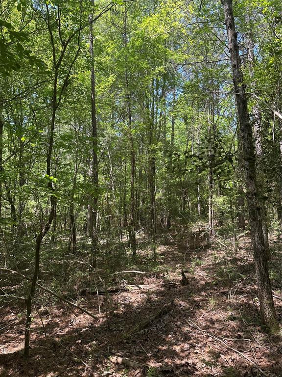 TBD Pr 7261, Colmesneil, Texas image 28