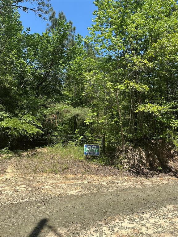 TBD Pr 7261, Colmesneil, Texas image 38