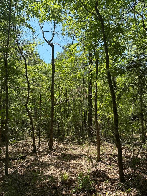 TBD Pr 7261, Colmesneil, Texas image 32