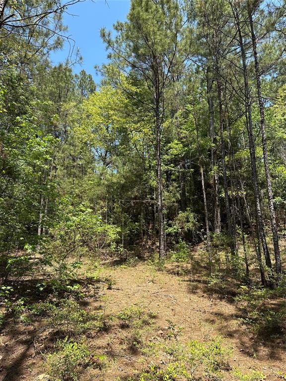 TBD Pr 7261, Colmesneil, Texas image 19