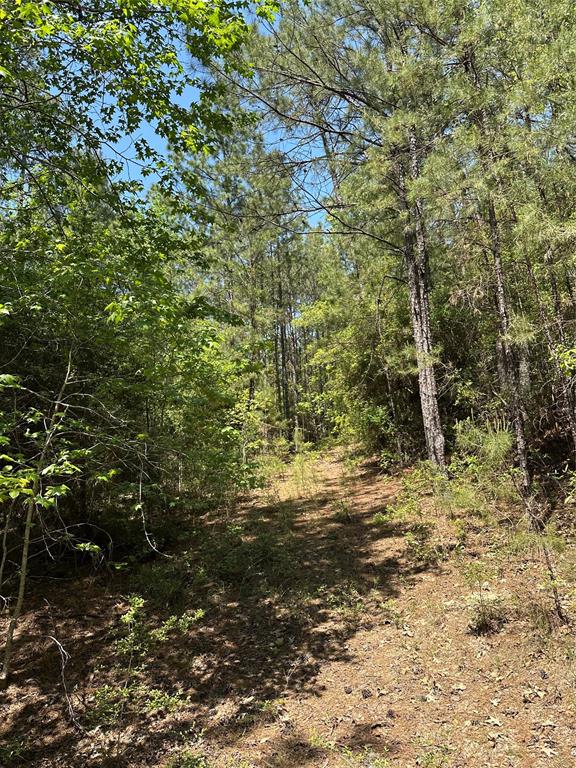 TBD Pr 7261, Colmesneil, Texas image 20