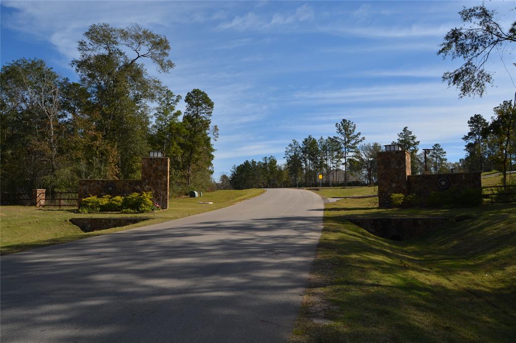 15726 Wood Grove Way, Willis, Texas image 9