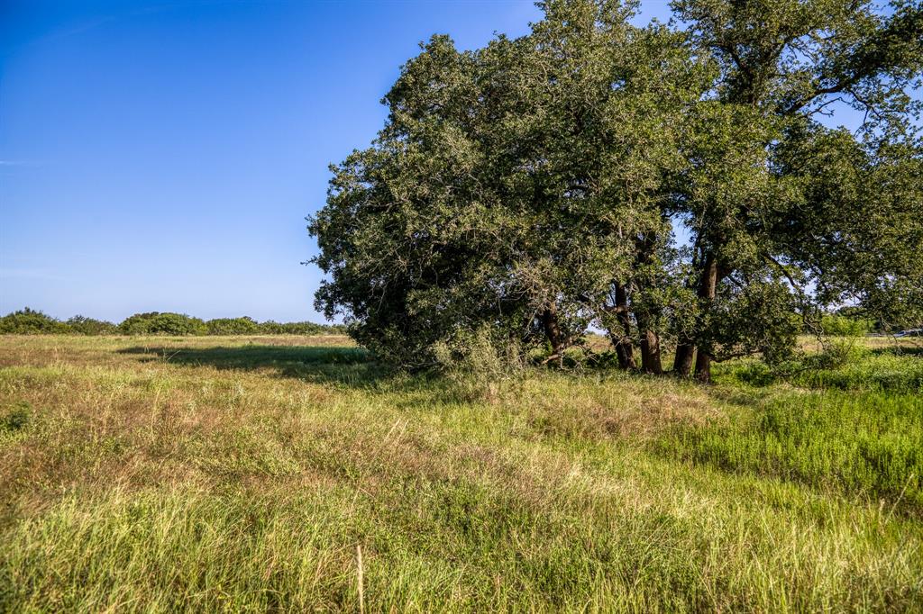 2076 County Road 127, Caldwell, Texas image 25