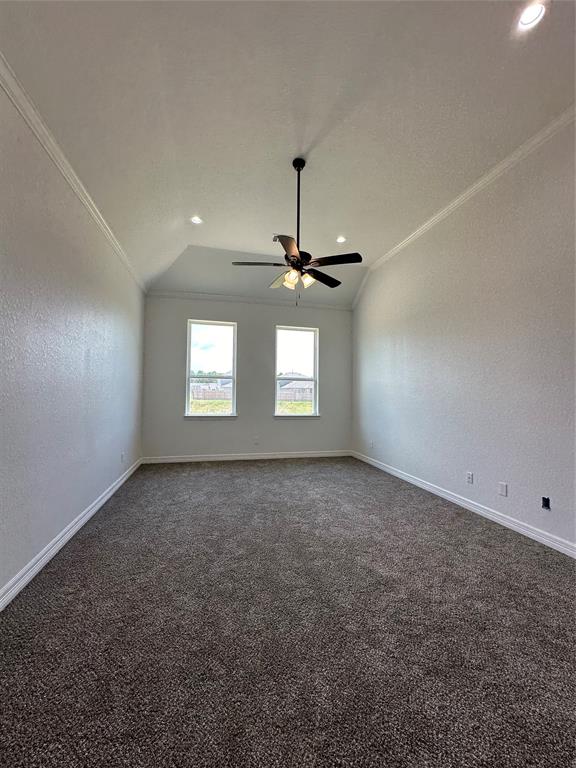 507 Kickapoo Drive, Anahuac, Texas image 16