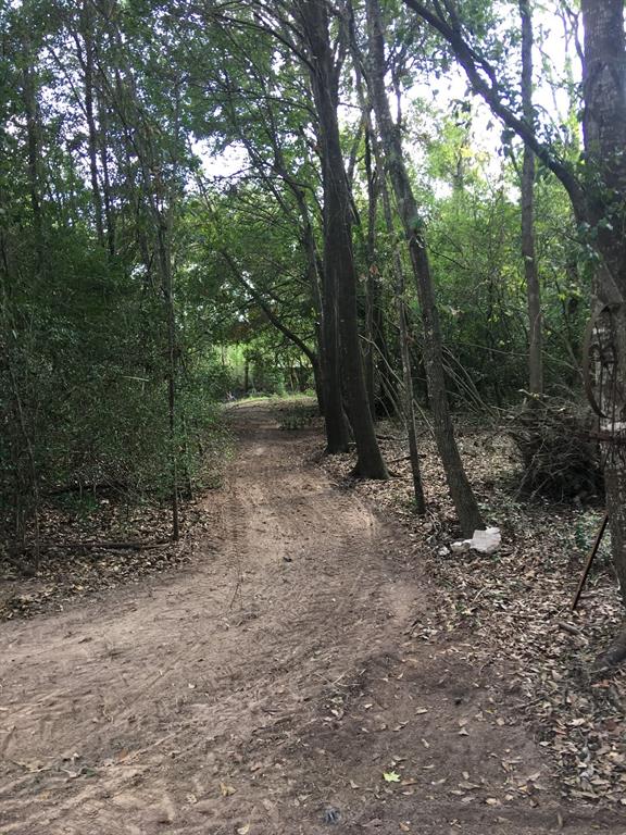 Cedar Bayou Road, Baytown, Texas image 8