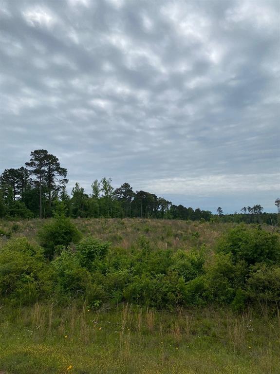 00 County Road 307, De Berry, Texas image 1