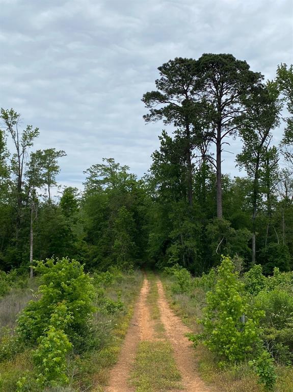 00 County Road 307, De Berry, Texas image 3