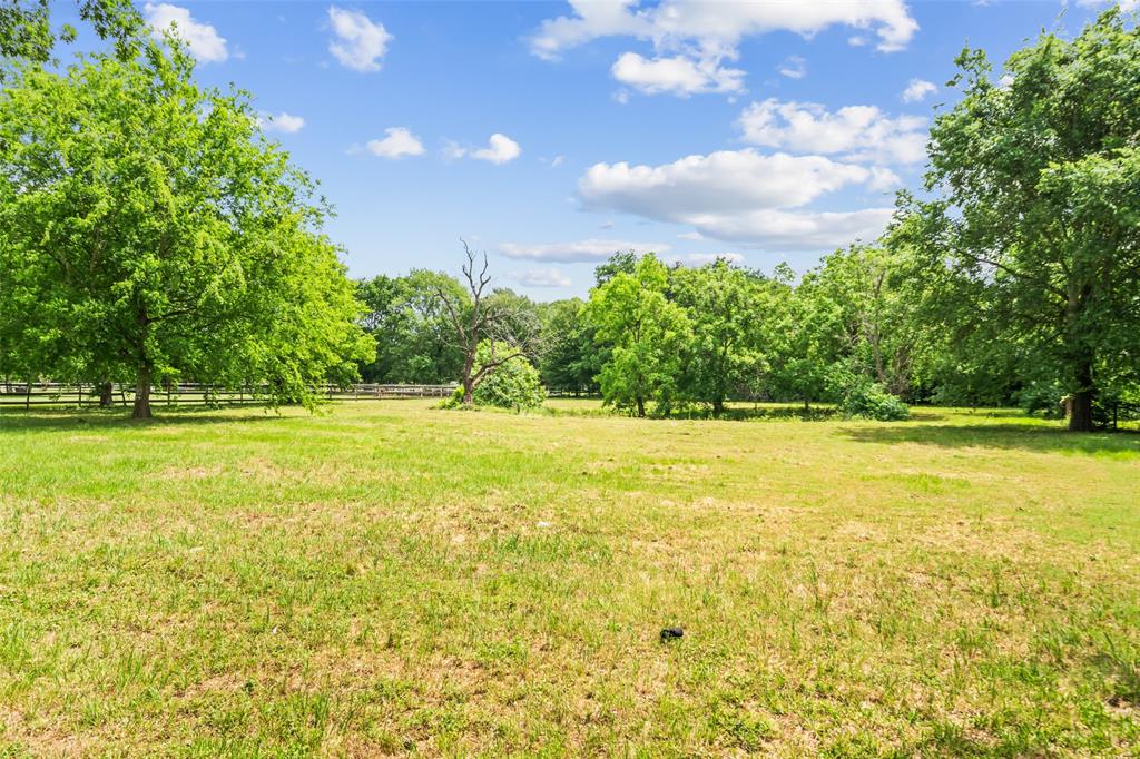 21310 Rosehill Church Road, Tomball, Texas image 25