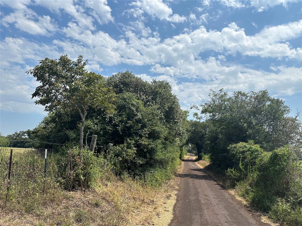 2758 Cr 204, Centerville, Texas image 9