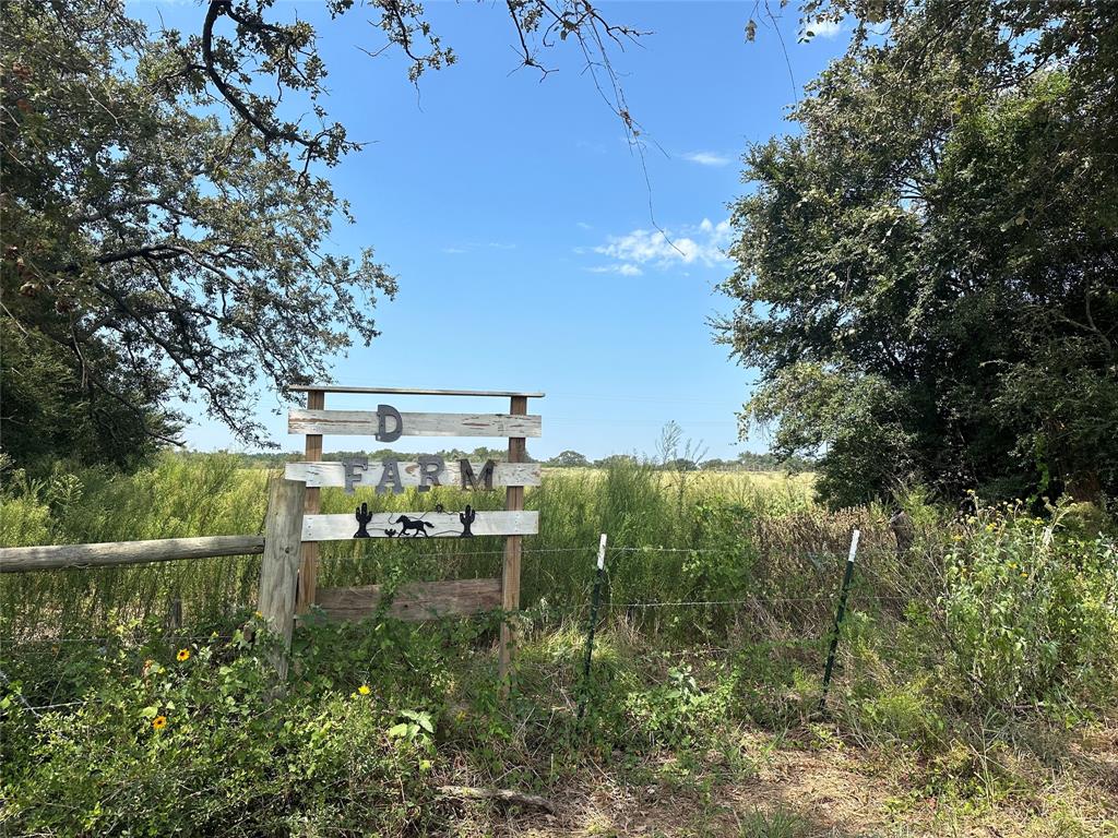 2758 Cr 204, Centerville, Texas image 3