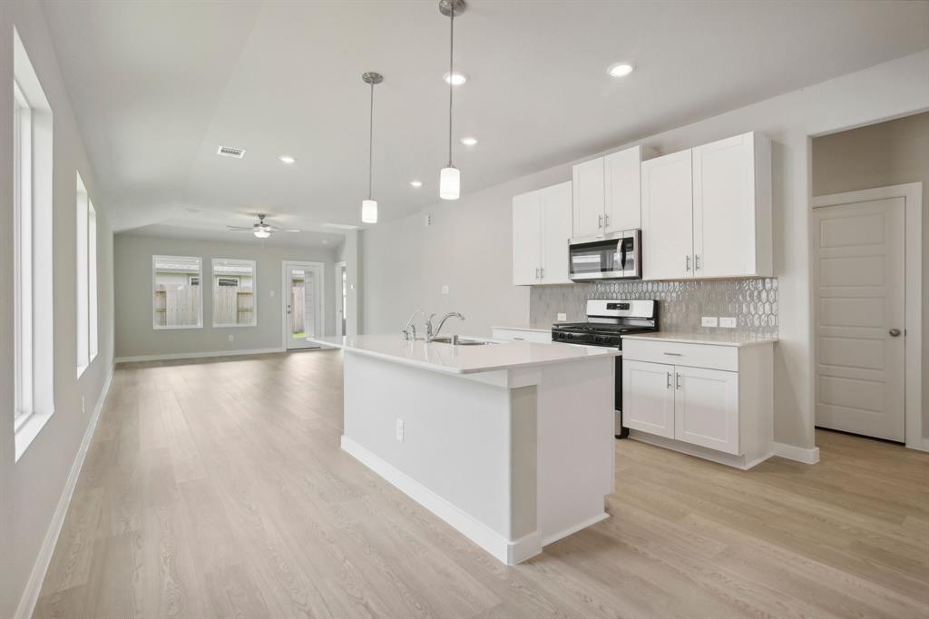 344 Willow Sage Court, Montgomery, Texas image 3