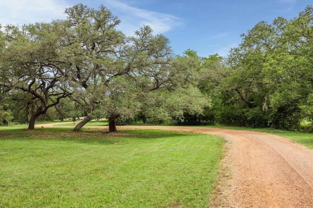 2130 Hartfield Road, Round Top, Texas image 36