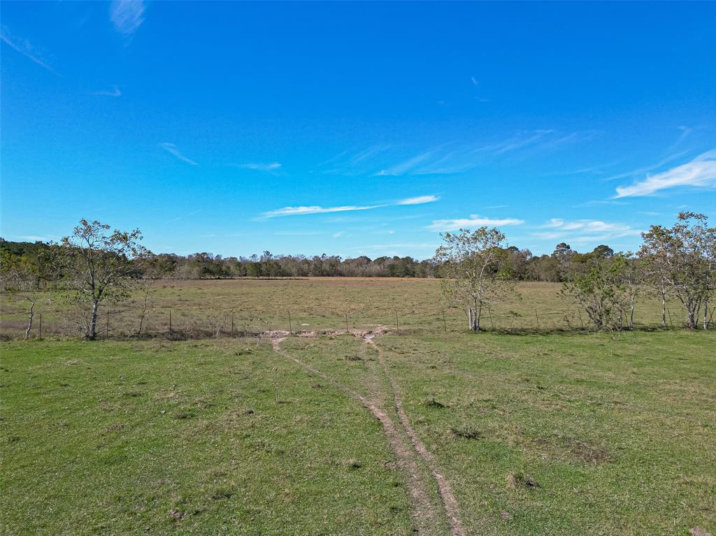 Sh 321/private Road Tbd, Dayton, Texas image 22