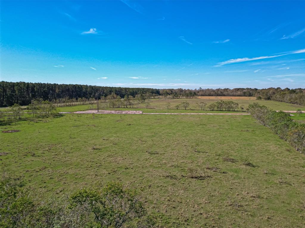 Sh 321/private Road Tbd, Dayton, Texas image 19