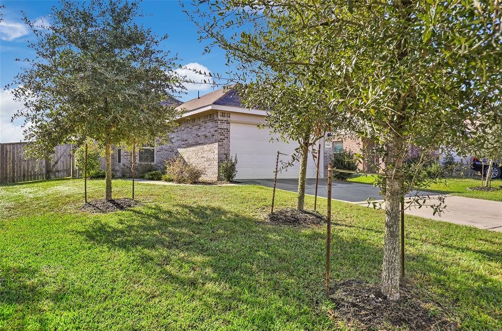 5858 Rosehill Forest Lane, Porter, Texas image 2