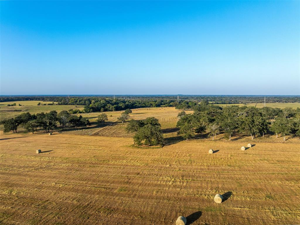 2869 Cr 103, Iola, Texas image 14