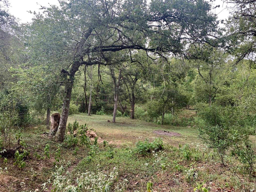 1674 S Fm 2980, Yorktown, Texas image 50
