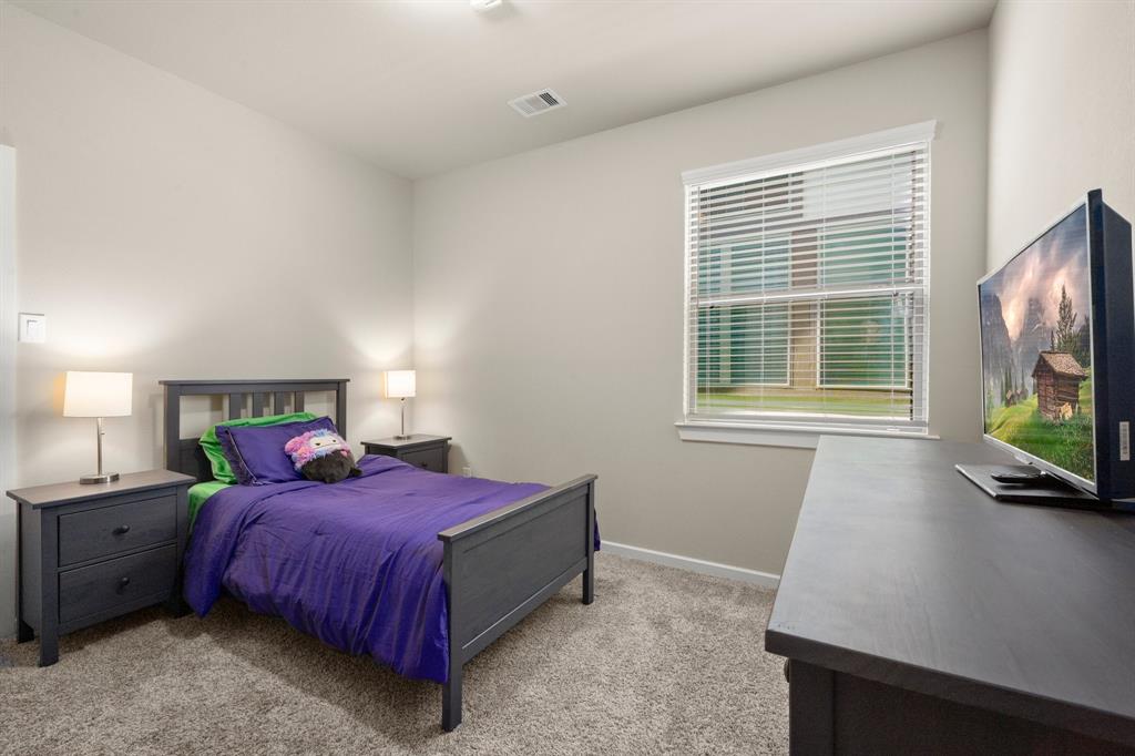 255 S Spotted Fern Drive, Montgomery, Texas image 22