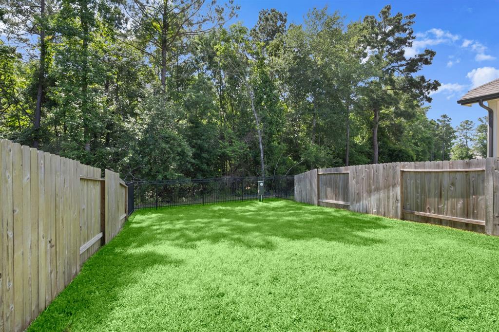255 S Spotted Fern Drive, Montgomery, Texas image 30