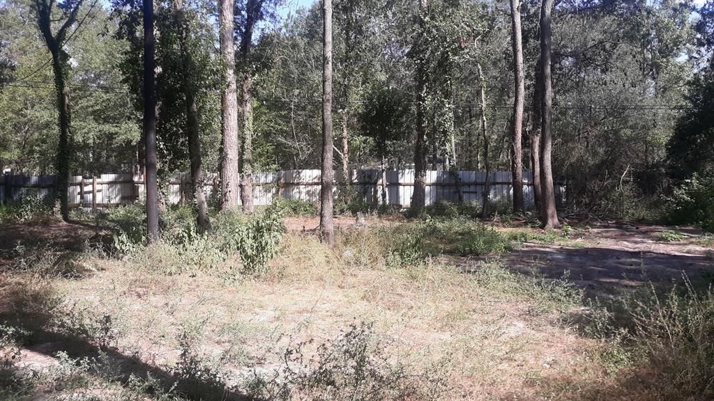 Photo of 0 Stevens St, New Caney, TX 77357 (MLS # 50283422)