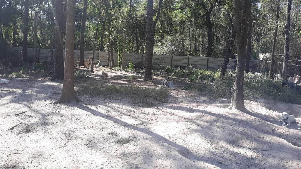 Photo of 0 Stevens St, New Caney, TX 77357 (MLS # 50283422)
