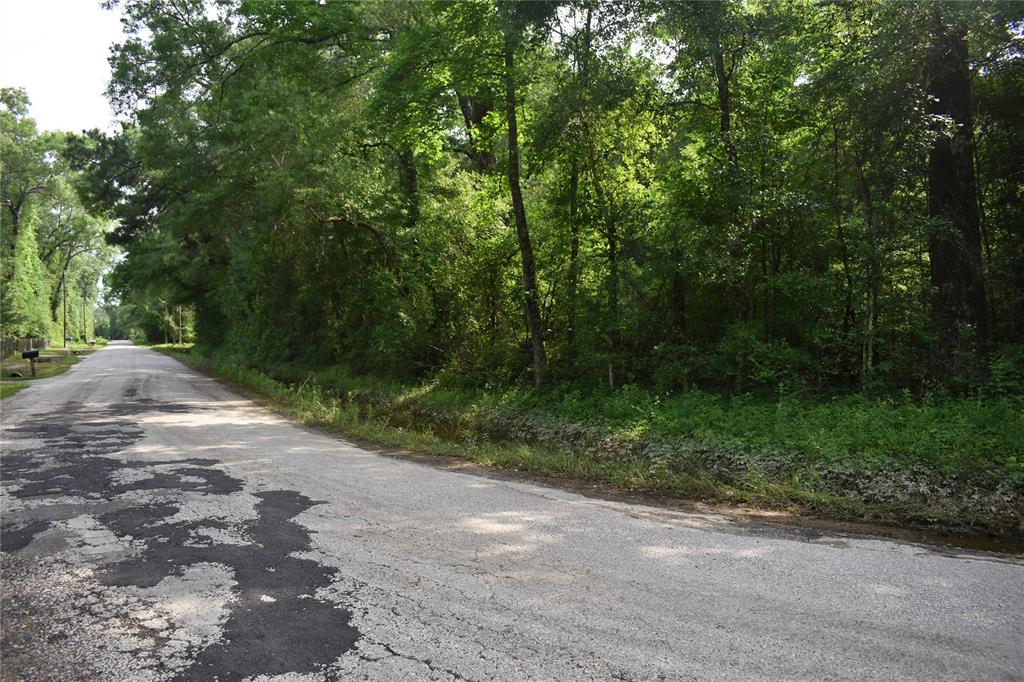 TBD Stag Lane, Shepherd, Texas image 4