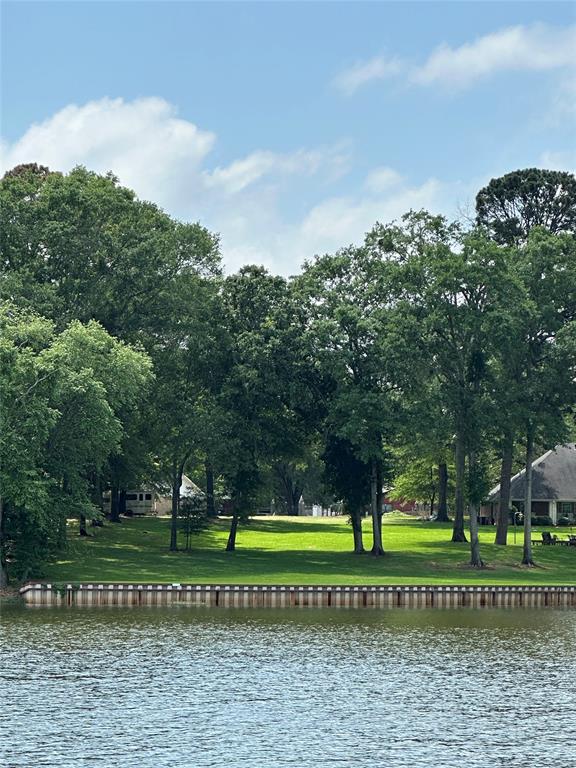 23184 J E B Circle, Frankston, Texas image 21