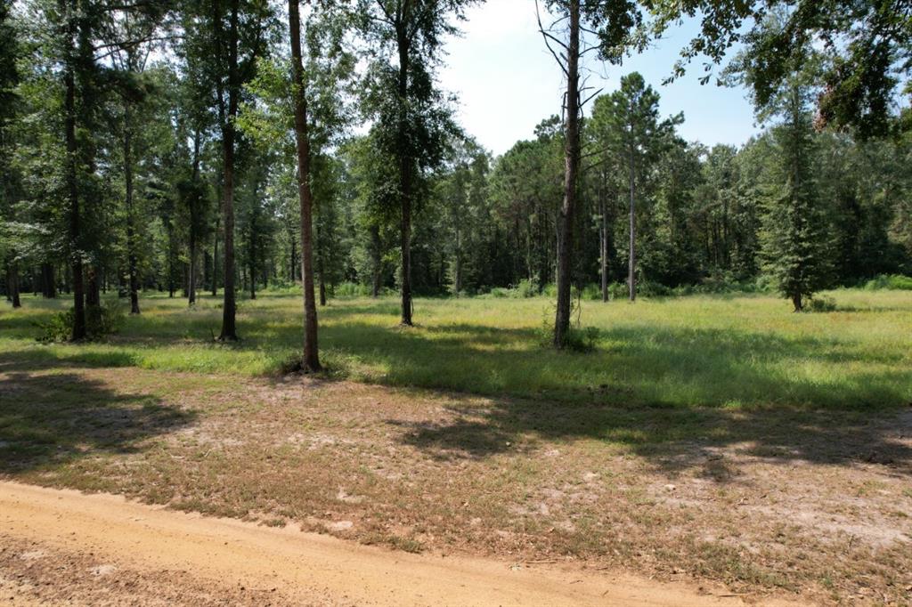 TBD (Lot 1) County Road 3545, Joaquin, Texas image 11