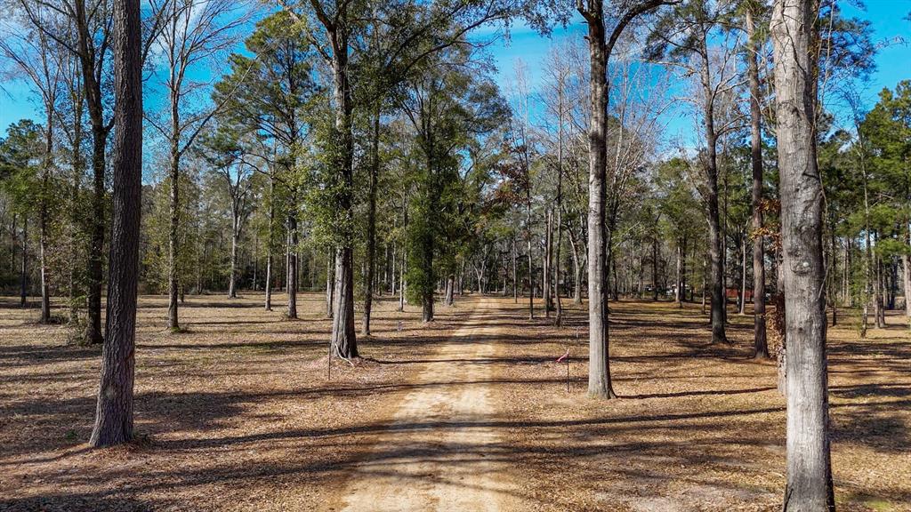 TBD (Lot 1) County Road 3545, Joaquin, Texas image 26