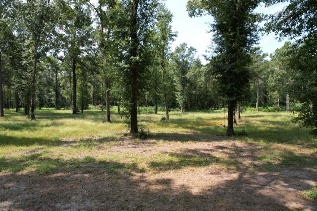 TBD (Lot 1) County Road 3545, Joaquin, Texas image 12