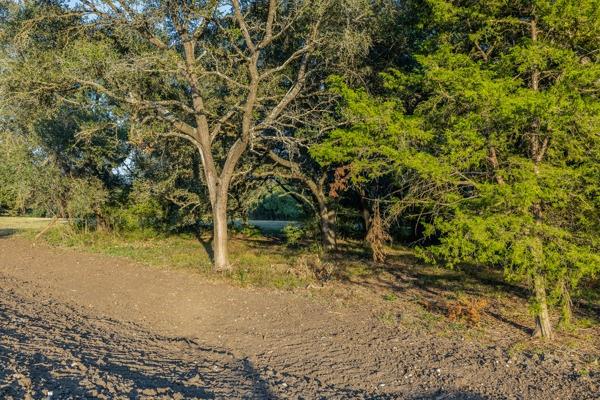 TBD Drake Lane - Lot 27, Round Top, Texas image 6