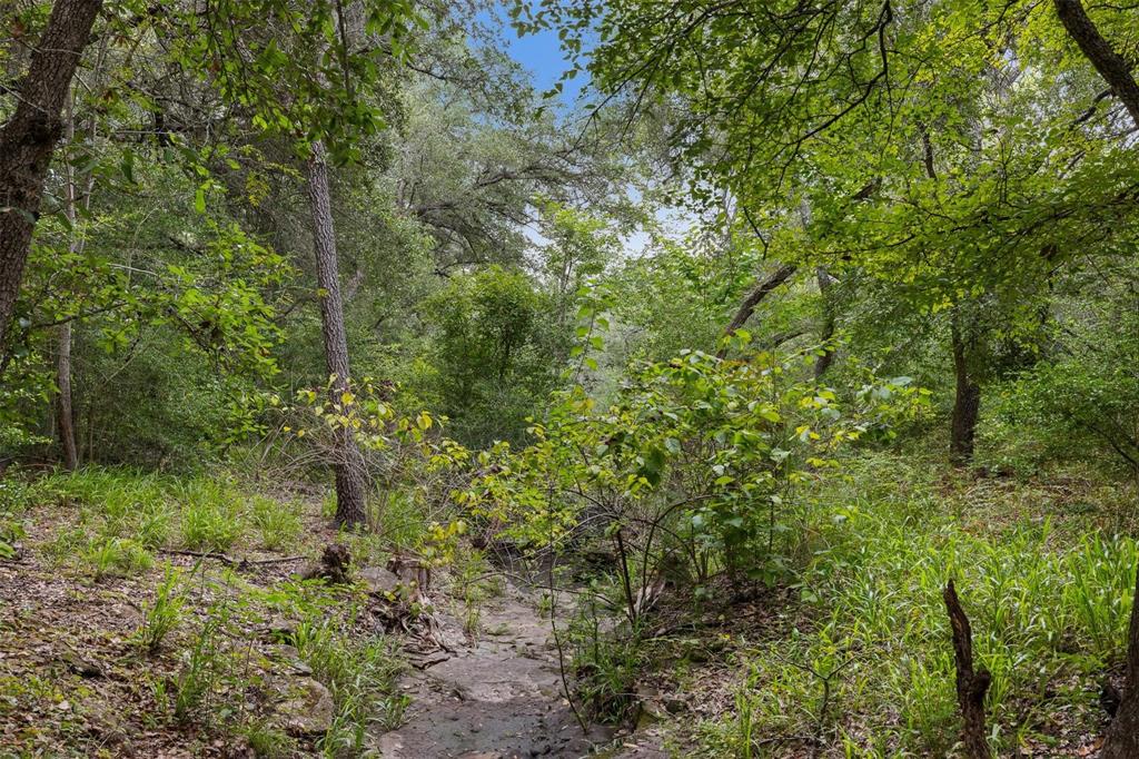 TBD Drake Lane - Lot 27, Round Top, Texas image 4