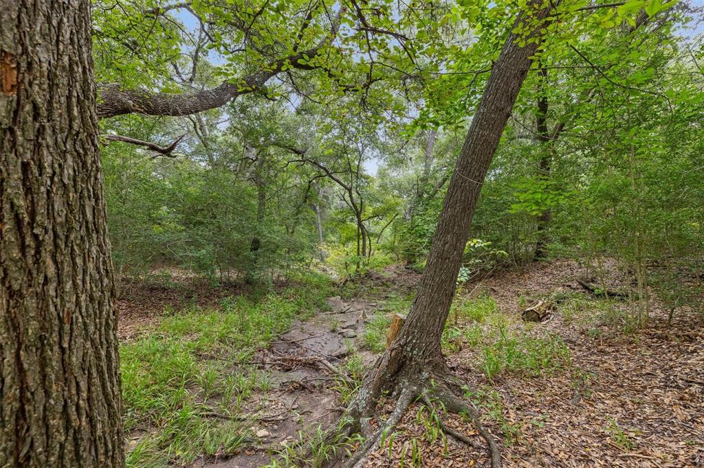 TBD Drake Lane - Lot 27, Round Top, Texas image 3