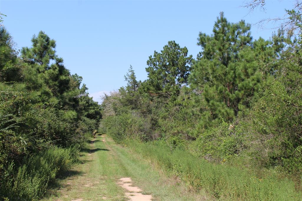 Falcon Lane, Hempstead, Texas image 5