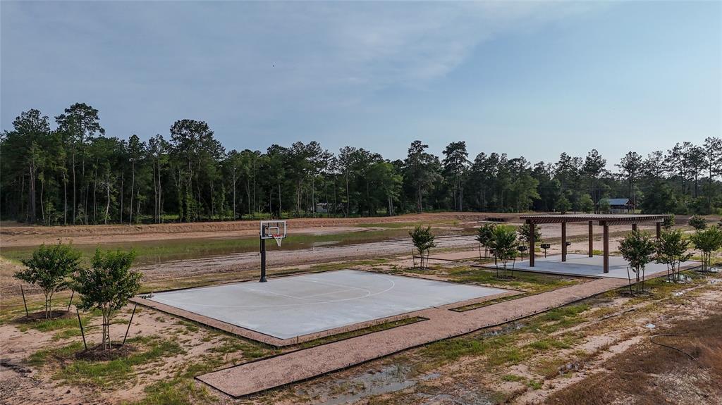 11614 Saltwell Drive, Conroe, Texas image 4