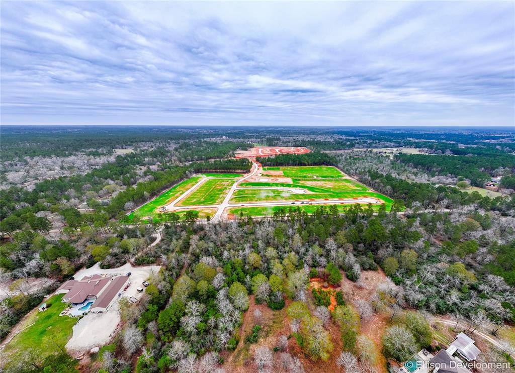 12347 Mccrorey Trails Court, Conroe, Texas image 18