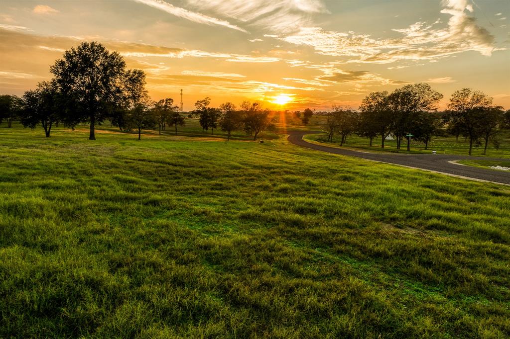 TBD Sunny Meadow Lot 25 Drive, Chappell Hill, Texas image 35